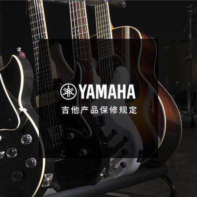吉他、贝斯和音箱